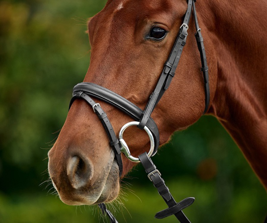 Dublin Flash Bridle image 2